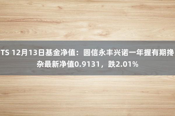 TS 12月13日基金净值：圆信永丰兴诺一年握有期搀杂最新净值0.9131，跌2.01%