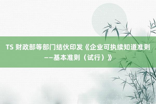 TS 财政部等部门结伙印发《企业可执续知道准则——基本准则（试行）》