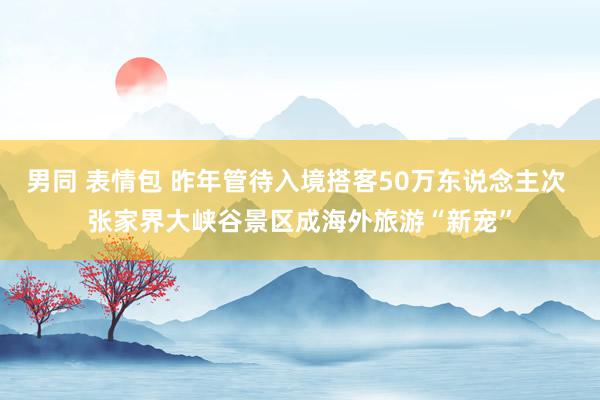 男同 表情包 昨年管待入境搭客50万东说念主次 张家界大峡谷景区成海外旅游“新宠”