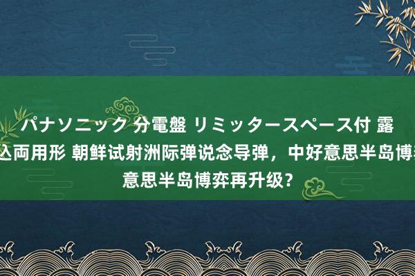 パナソニック 分電盤 リミッタースペース付 露出・半埋込両用形 朝鲜试射洲际弹说念导弹，中好意思半岛博弈再升级？