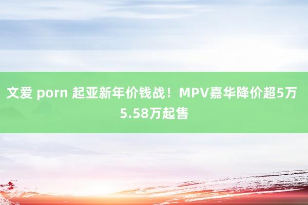 文爱 porn 起亚新年价钱战！MPV嘉华降价超5万 5.58万起售